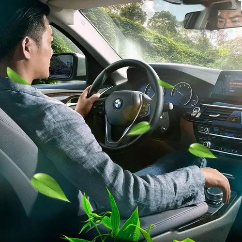 售后服務 618汽車精品限時搶購中