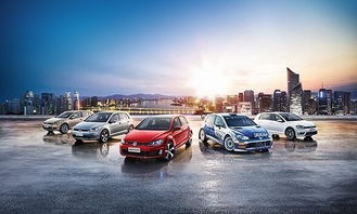 一站式互聯(lián)網(wǎng)汽車(chē)服務(wù)連鎖品牌 御車(chē)無(wú)憂(yōu)